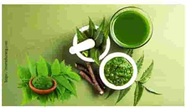 Neem Paste on Skin Good Bad