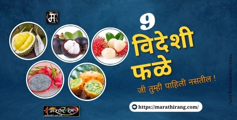 9 Exotic Fruits