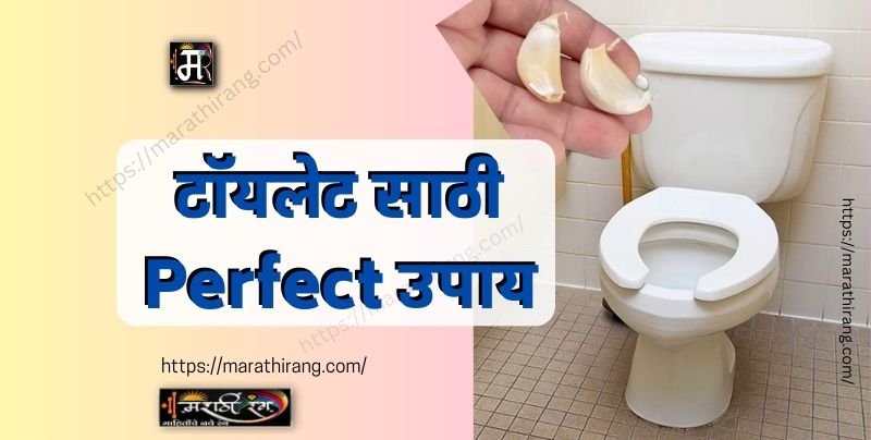 clove of garlic inside the toilet